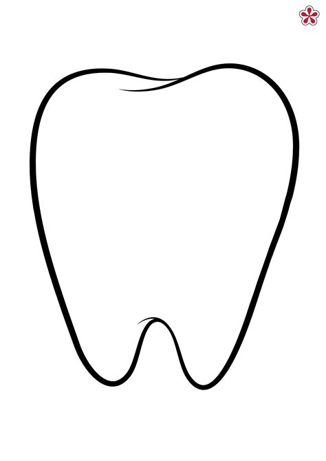 Blank Tooth Template